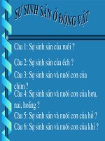 Khoa học: Sự sinh sản ở động vật