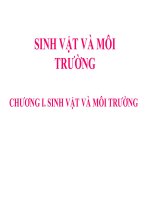 bai 41 moi truong va cac nhan to sinh thai