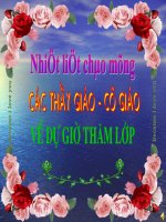 Sử 8 tiết 48