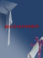 bai 4 CAU TAO VONGUYEN TU