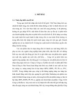 Nâng cao năng lực cạnh tranh của công ty cổ phần sản xuất và phân phối mai nam