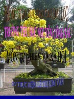 Nhận biết các vật xung quanh