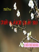 Tức cảnh Pắc Bó