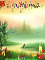 Chuyen de TNXH cap Thanh Pho