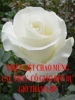 phép chia phân thức đại số
