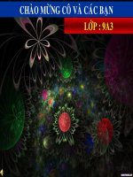 giáo án sinh điện tử học sinh tự tạo