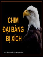 Chim đại bàng bị xích