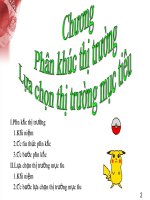 phân khúc thị trường