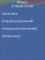 Vẽ theo mẫu: Cái mũ