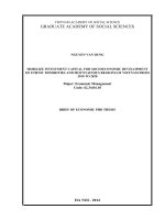 mobilize investment capital for socioeconomic development of ethnic minorities and mountainous regions of vietnam from 2010 to 2020