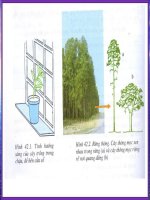 bài giảng tiết 42 sinh học 9