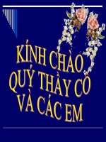 sau benh hai cay trong