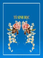 sinh sản ở thực vật