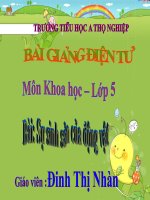 khoa hoc lop 5: su sinh san cua dong vat
