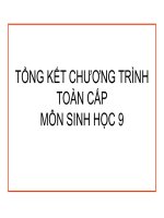 tổng kết chương trình toàn cấp