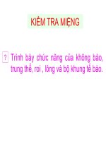 Bài 17: Cấu tạo tế bào nhân thực