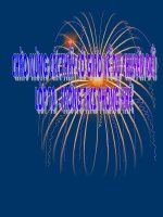 Tiết 6- MÔI TRƯỜNG NHIỆT ĐỚI