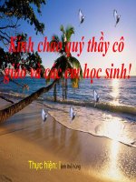 Nghiem da thúc 1 bien