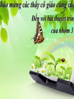 bài 16 tiến háo  tổ 4