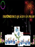 Sinh 7 Cấu tạo trong của chim Bồ câu