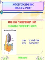 OXY HOA PHOTPHORIN HOA