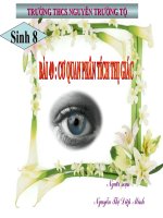 bai 49 co quan phan tich thi giac