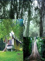 Bài 13. Chính sách tài nguyên và bảo vệ môi trường