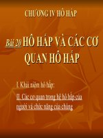 bai 20. HO HAP VA CAC CO QUAN HO HAP
