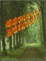 Tuan 14:Ôn tap ve tu loai