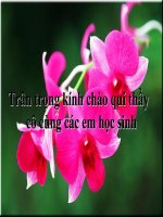 Rút gọn phân thức (thi giảng vòng huyện )