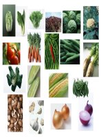 Hình ảnh rau, quả, củ