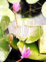 QUAN HỆ GIỮA GÓC TỚI VÀ GÓC PHẢN XẠ