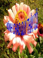 Giới thiệu chung hệ thần kinh