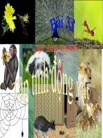 Băng hình tập tính của Thú