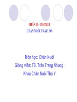 kỹ thuật chăn nuôi trâu bò