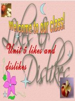 Unit 5 (Lifeline Elementary)