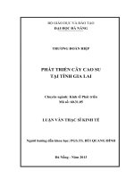 Phát triển cây cao su tại tỉnh gia lai