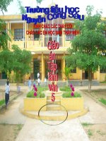 TLV Luyện tập tả cảnh