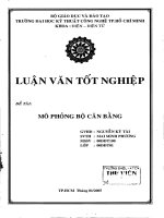 Khóa luận tốt nghiệp mô phỏng bộ cân bằng