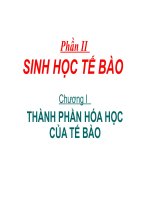Bài 7: Các chất vô cơ