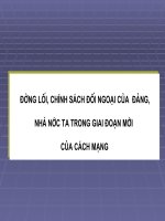 Đường lối chính sách đối ngoại của Đảng và Nhà nước ta trong giai đoạn CM mới