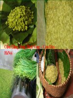 mot thu qua cua lua non : com