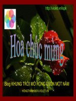 Hoa chúc mừng blog KHUNG TRỜI MỞ RỘNG tròn một năm tuổi