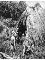 Tập ảnh về Bác Hồ