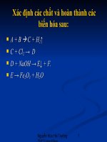 giao án bồi dưỡng học sinh giỏi