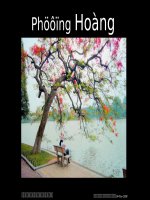 Phượng Hồng Phượng Tím