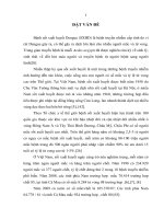 Nghiên cứu tình hình sốt xuất huyết dengue tại huyện trần văn thời tỉnh cà mau năm 2009