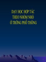 Hoạt động nhóm