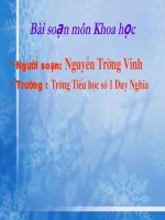 Khoa học: Ba thể của nước