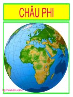 Thiên nhiên kỳ thú của Châu Phi (NINH)